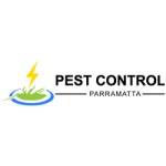 Pest Control Randwick